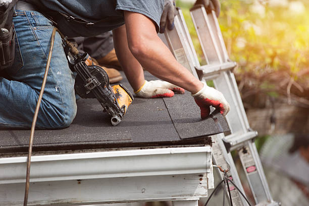 Best Local Roofing Companies  in Bon Secour, AL