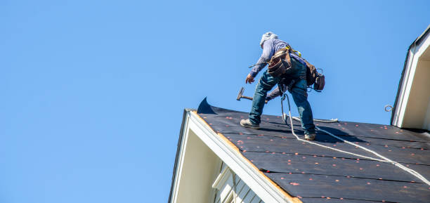 Best Residential Roof Replacement  in Bon Secour, AL